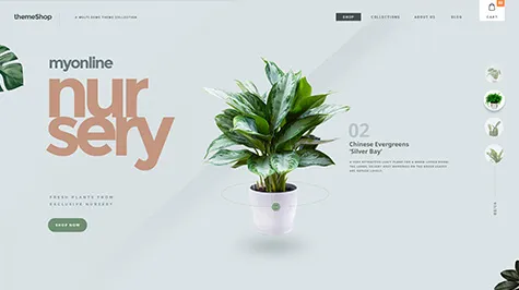 Custom Website Design Portfolio 4