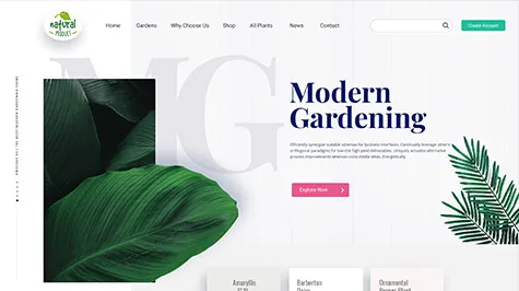 Custom Website Design Portfolio 7